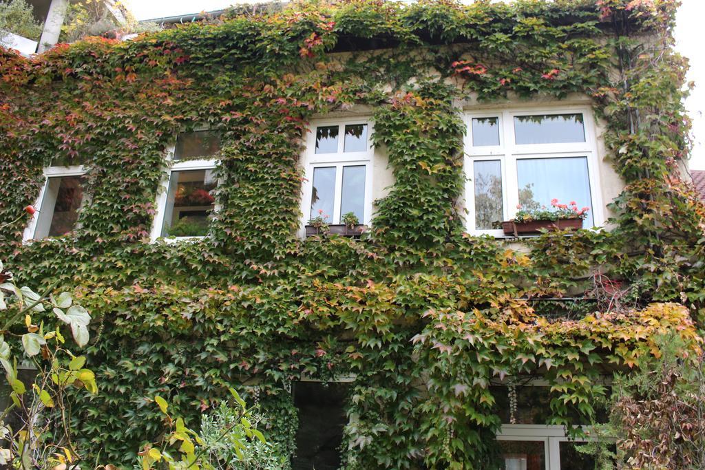 Hotel Wiener Kindl Екстериор снимка